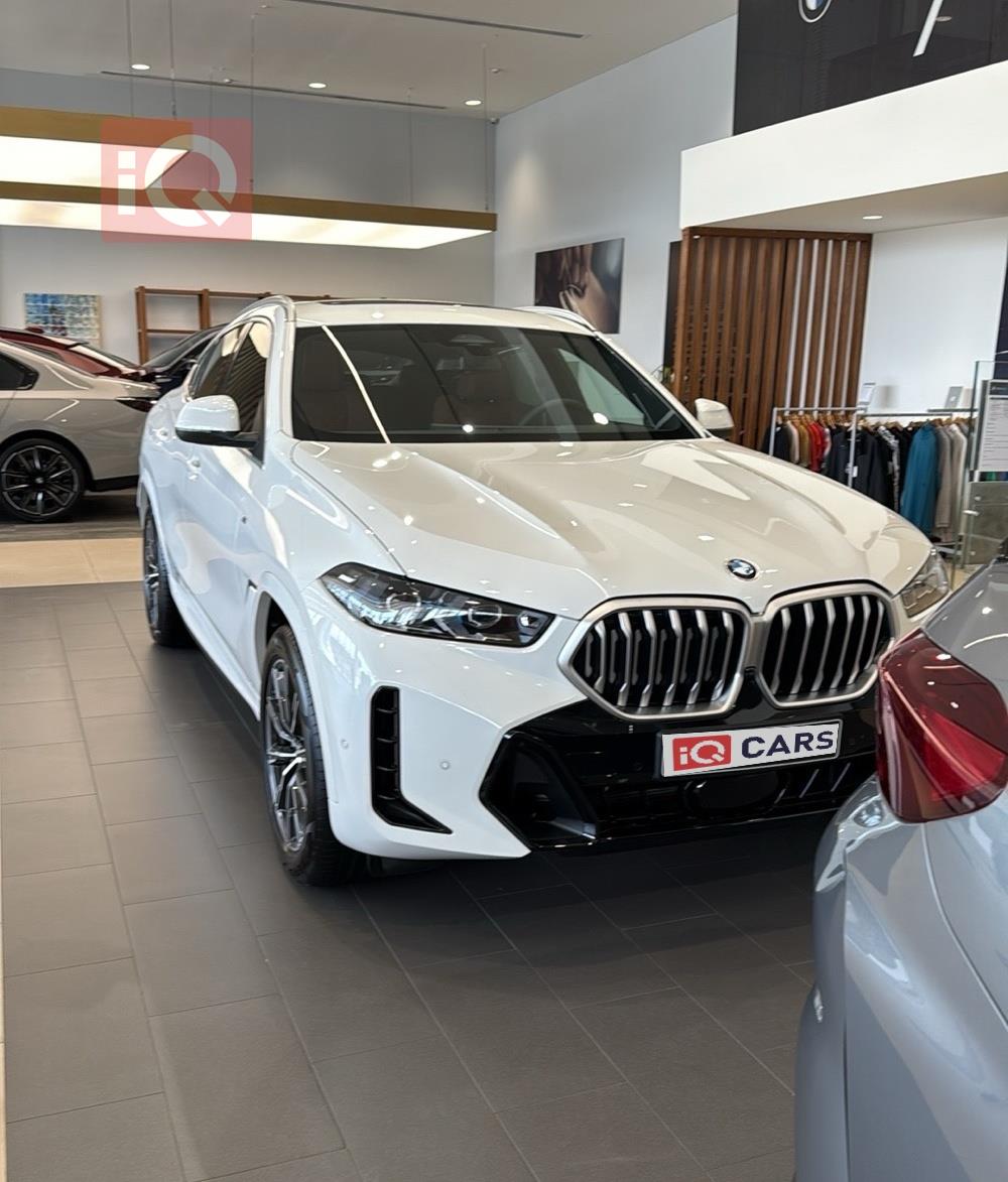 BMW X6